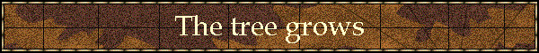 The tree grows